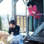 「AKMU」、7年にわたる長い航海に終止符…ついに“開花”した兄妹デュオ