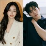 “韓国財閥4世”の女性インフルエンサー、“20億円脱税疑惑”チャウヌに「いいね」…どんな接点が？