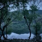 「サルモクチ」、「王と生きる男」・「プロジェクト・ヘイル・メアリー」を抑えボックスオフィス1位…4月の「ホラー警報」