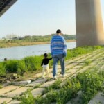 “妊娠7か月”イ・ダイン、夫イ・スンギと娘の散歩映像を投稿…「私のすべて」