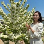 “47歳芸能界最高齢妊婦”ハン・ダガム、殺到するお祝いメッセージにコメントも…広すぎる実家の庭まで話題