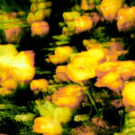 「SUPER JUNIOR」ドンヘ、パク・ジェボムのフィーチャリング曲で1stフルアルバムの幕開け