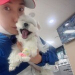 <トレンドブログ>「SUPER JUNIOR」イトゥク、愛犬の健康問題でSOS…「よくご存知の病院や獣医の先生を教えてください」