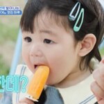 <トレンドブログ>俳優シム・ヒョンタクの息子ハルくん、人生初のアイスクリームを食べたその反応は？（スーパーマンが帰ってきた）