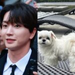 <トレンドブログ>「SUPER JUNIOR」イトゥク、愛犬の近況を伝える…「どれほど苦しんでいたか」自責の念