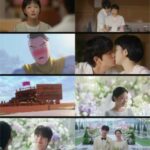 ≪韓国ドラマNOW≫「ユミの細胞たち シーズン3」第7・8話（最終話）、キム・ジェウォンの直進年下の再告白にユミの心が揺れる＝あらすじ・ネタバレ