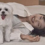 「Red Velvet」ジョイ、将来への悩みから“トリマー”の資格に挑戦（シングル男のハッピーライフ）