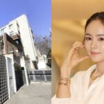 “なぜここなのか？”ハン・ガイン＆ヨン・ジョンフン夫妻が選んだ“韓国版ビバリーヒルズ”…コン・ユら芸能人が集まる理由
