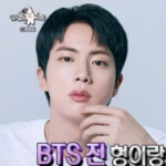 「BTS」Jin、「TXT」ボムギュに含みのあるアドバイス…「外で問題を起こすより家でゲーム」（ラジオスター）