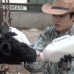 <トレンドブログ>「EXO」D.O.＆イ・グァンス＆キム・ウビン、『コンコンファームファーム』の予告編公開…3人の牧場ライフは？（動画あり）