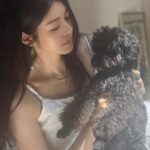 タレント兼弁護士ソ・ドンジュ、女優キム・ギュリの自宅侵入犯から同じ被害を受けた事実を公開