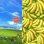 新人ボーイズグループ「DAILY:DIRECTION」、カムバックプロモーションサイトをオープン…7月13日新譜発売