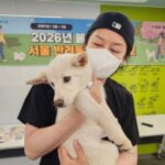 <トレンドブログ>「SUPER JUNIOR」ヒチョル、「保護犬・猫が一生愛されますように」…ボランティア活動の近況
