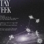 <トレンドブログ>「Stray Kids」、ファンクラブ“STAY”結成8周年を記念した“STAY WEEK”を開催