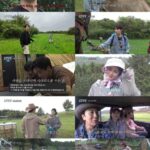 「コンコンファムファム」シン・イェウン、「EXO」D.O.に引けを取らないパワーインターンとして力を発揮
