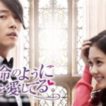 “笑えて泣ける”名作ラブコメ、チャン・ナラ、チャン・ヒョク韓国ドラマ『運命のように君を愛してる』が8月27日（木）午前0時よりTVerにて 全話配信スタート！【ＢＳ日テレ】