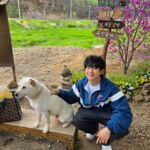 チョン・ヘイン、ワンちゃんを優しくなでる撮影オフショット…「恋は飴模様」はグローバル5位