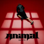 KATSEYE、ニュー・EP『WILD』収録の最新シングル「Animal」で全米シングル・チャート24位に初登場し自己最高デビュー記録を更新！グローバル・チャートでも自己最高位
