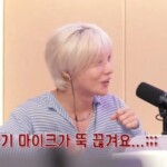 <トレンドブログ>「SHINee」テミン、「ユインラジオ」に出演…コーチェラでのエピソードを大放出（動画あり）