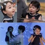 <トレンドブログ>俳優シム・ヒョンタクの息子ハルくん、かわいいマリンルックで水族館を訪問（スーパーマンが帰ってきた）
