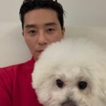 <トレンドブログ>俳優パク・ソジュン、デビュー15周年も休む暇なし…『私が罪人です』を終え、『ホタル』へ直行