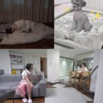ヒョヨン、19年間続く「少女時代」の宿所生活での日常を公開…活動を支える寮母らが素の彼女を暴露＝「全知的おせっかい視点」