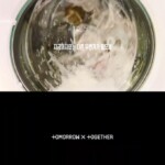 【公式】「TOMORROW X TOGETHER」、11月16日「PERFECT STORM」でカムバック…嵐を巻き起こす