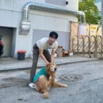 <トレンドブログ>ホ・ナムジュンのファン、デビュー7周年を迎え、保護動物用品を寄付