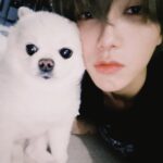 <トレンドブログ>「SUPER JUNIOR」イェソン、1年前に旅立った愛犬に思いを込めた手紙…「あと一日だけでもあったら」