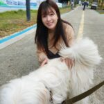 女優ハン・ヒョジュ、子犬を見て思わず足を止めた目撃談が話題…「実物は天使みたい」