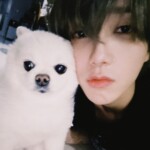 「SUPER JUNIOR」イェソン、亡くなった愛犬メロに…「恋しくない日はない」（動画あり）
